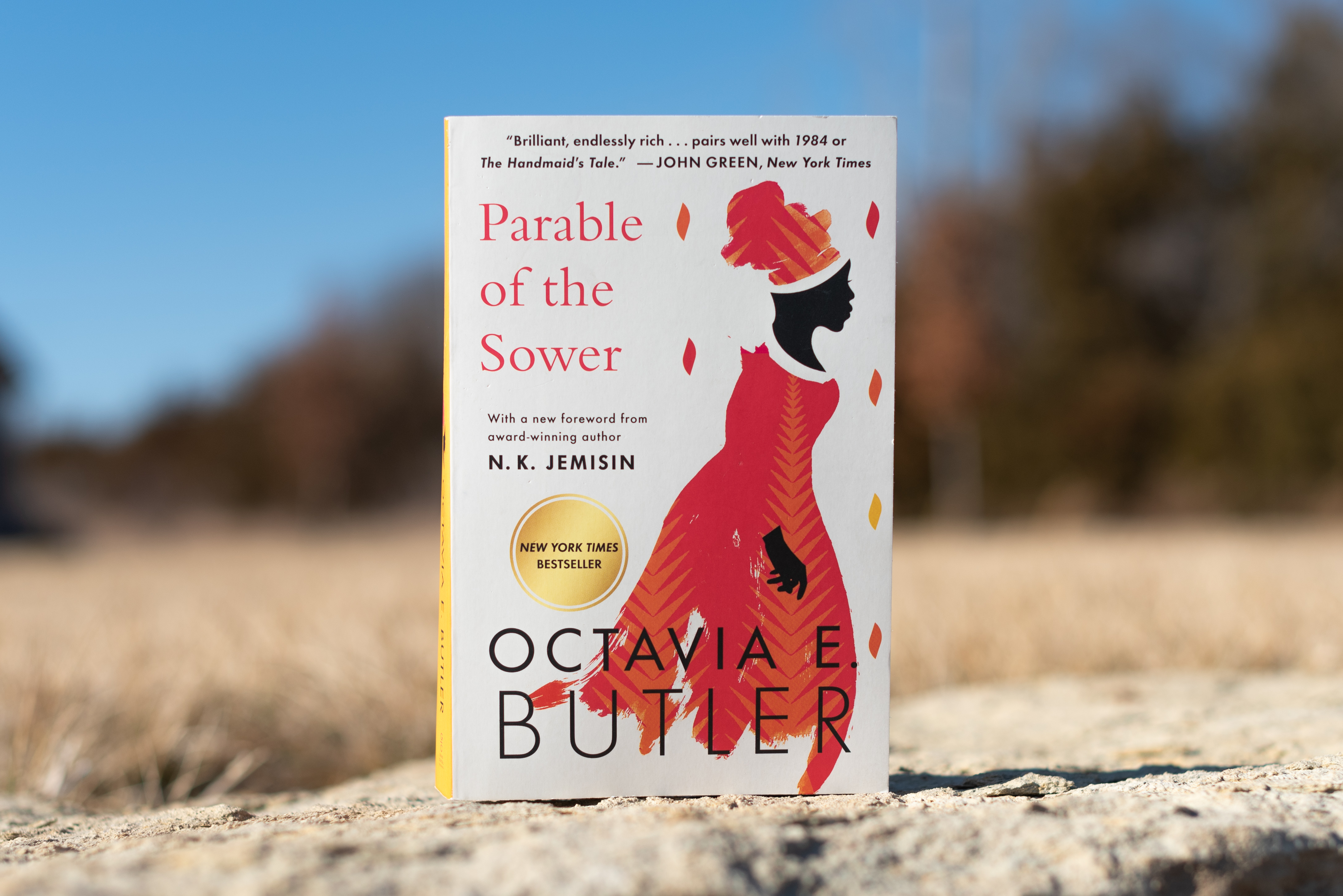 A copy of Parable of the Sower stands upright in the sunlight, on top of rough stone with trees visible in the background.